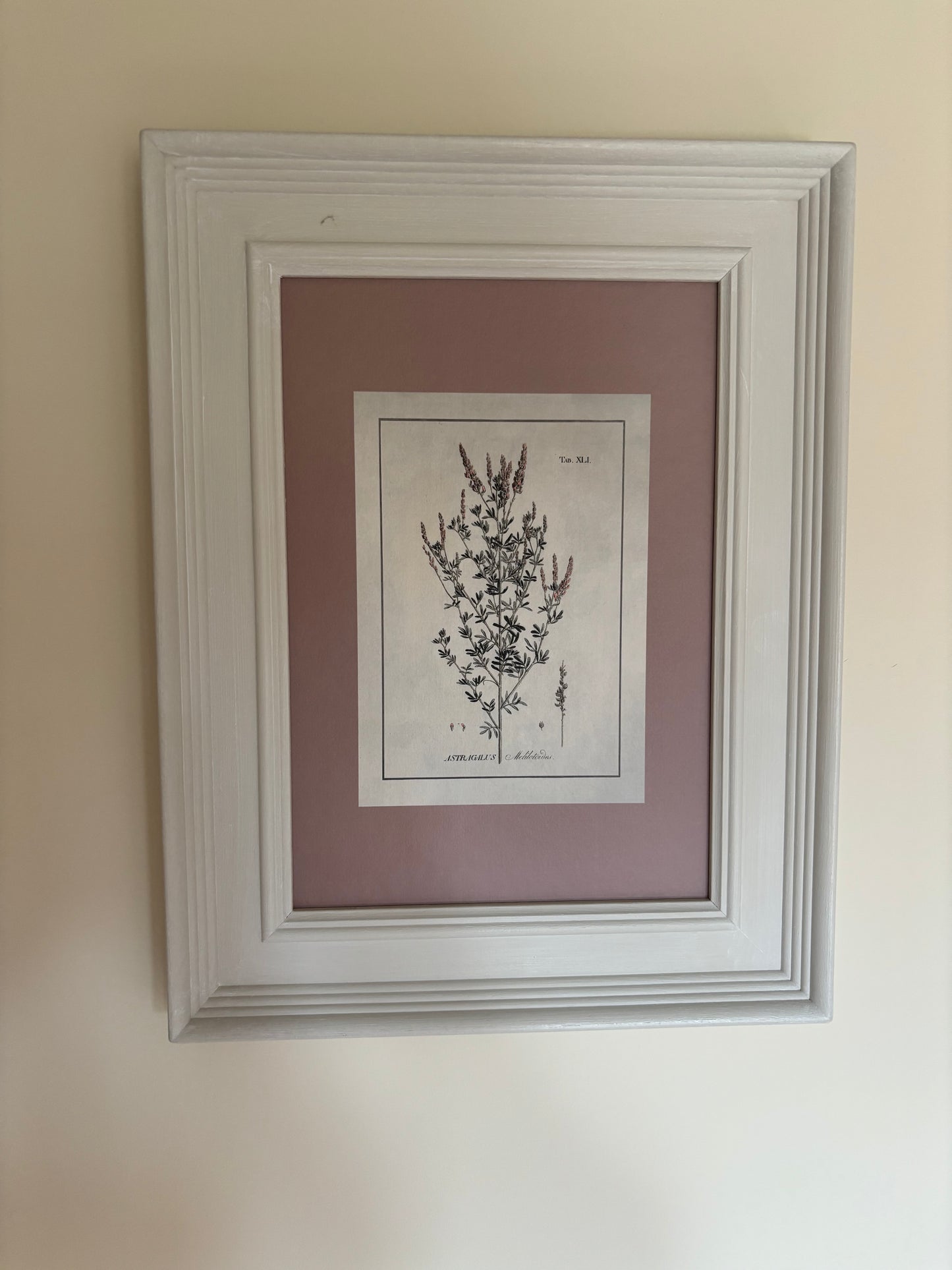 Cowshed Pair of Plant Prints with Pink hue