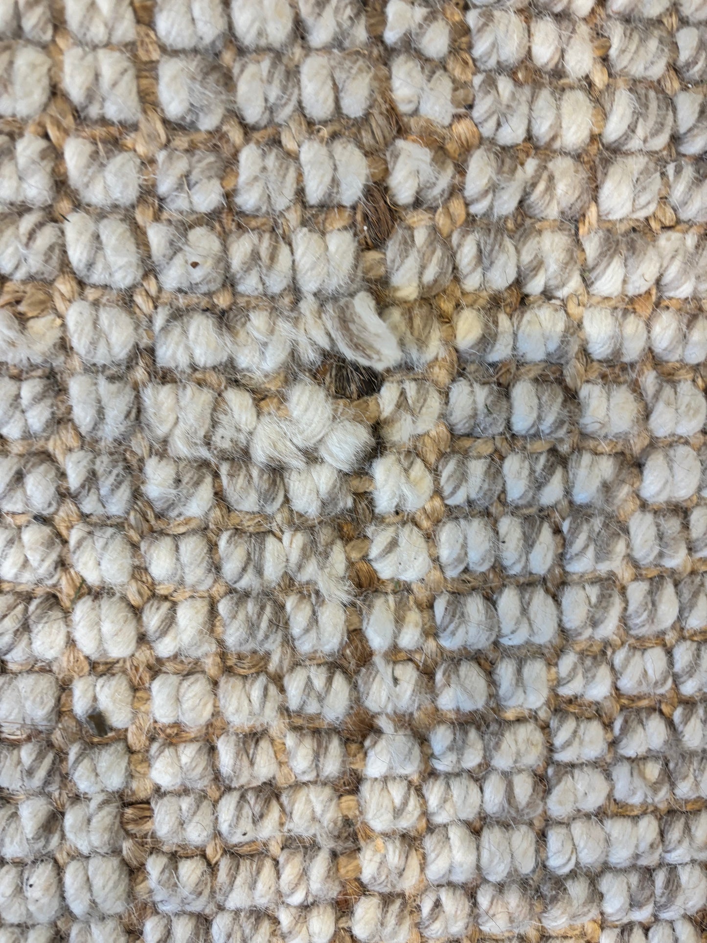 Sisal and Wool Rug
