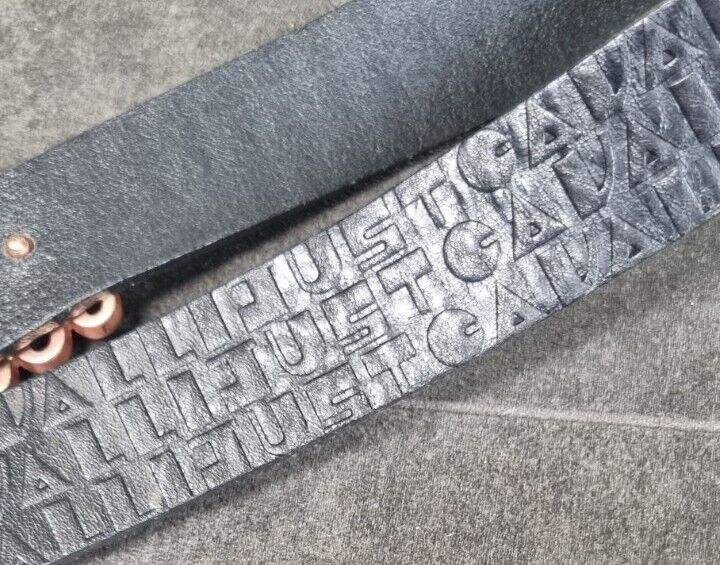 Just Cavalli Women's Belt With Logo Diamanté Detail