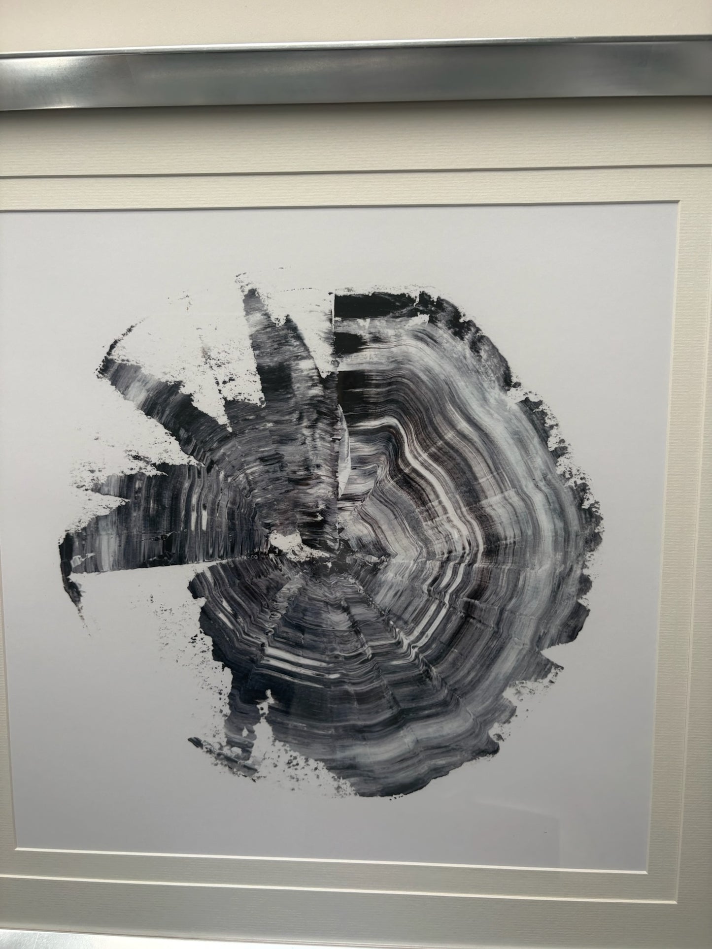 Silver Framed Picture of Oak Trunk
