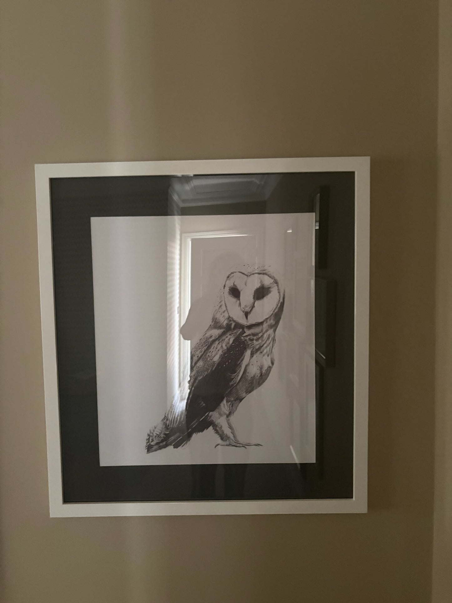 Owl Picture