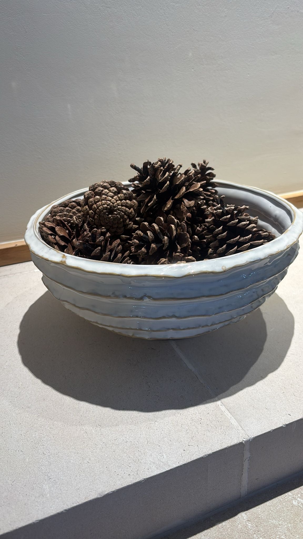 Decorative Bowl with Pine Cones