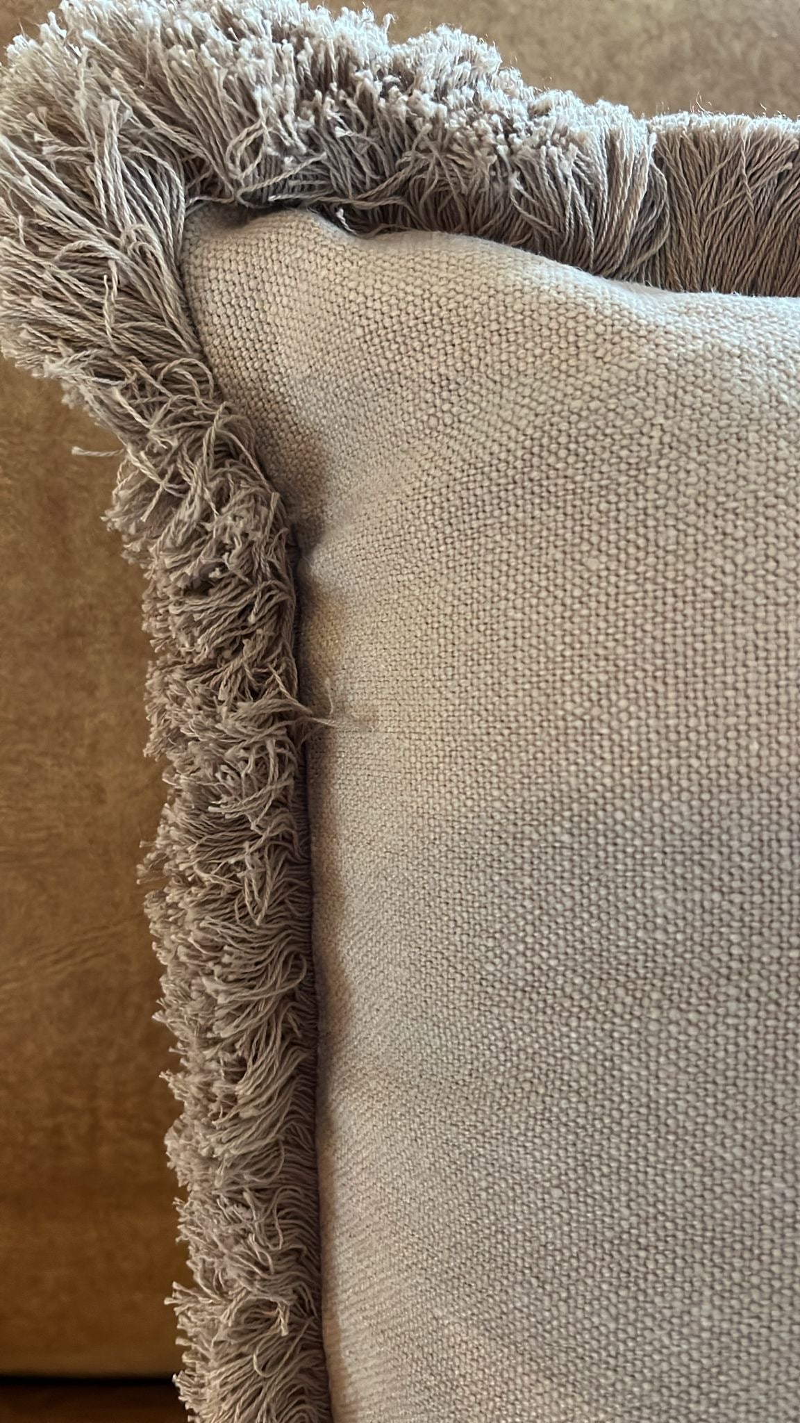 Pair of Beige Cushions