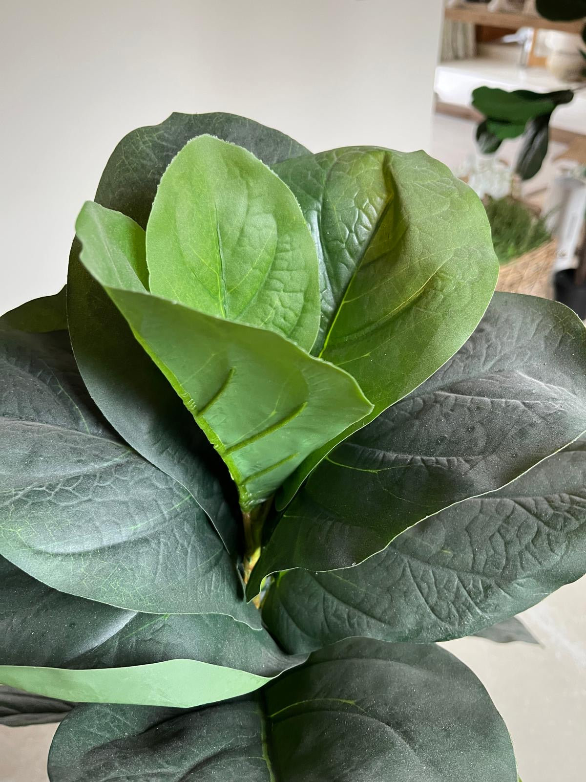 Faux Plant from Chosen by Jessica