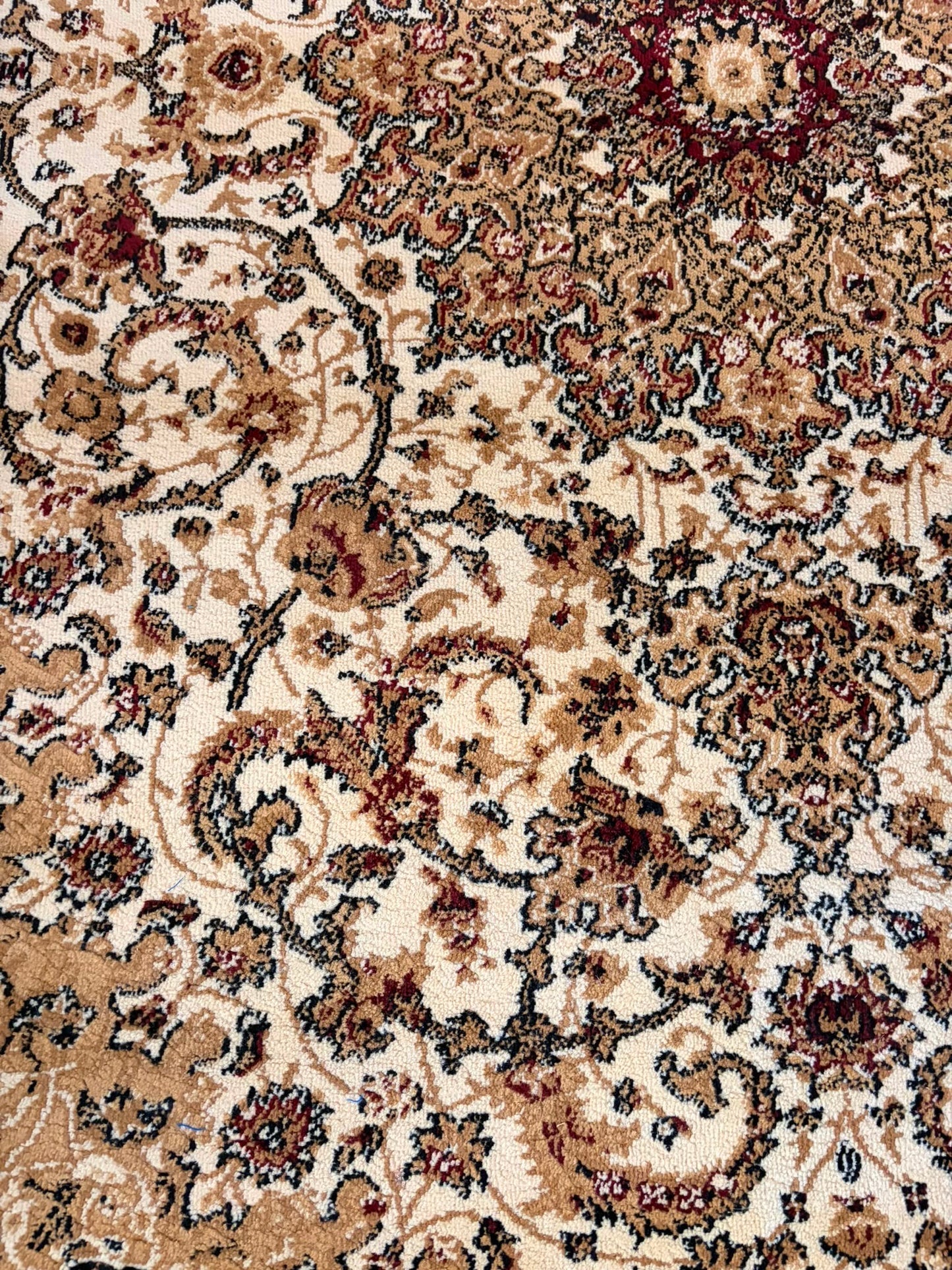 Pasha Ivory Traditional Rug