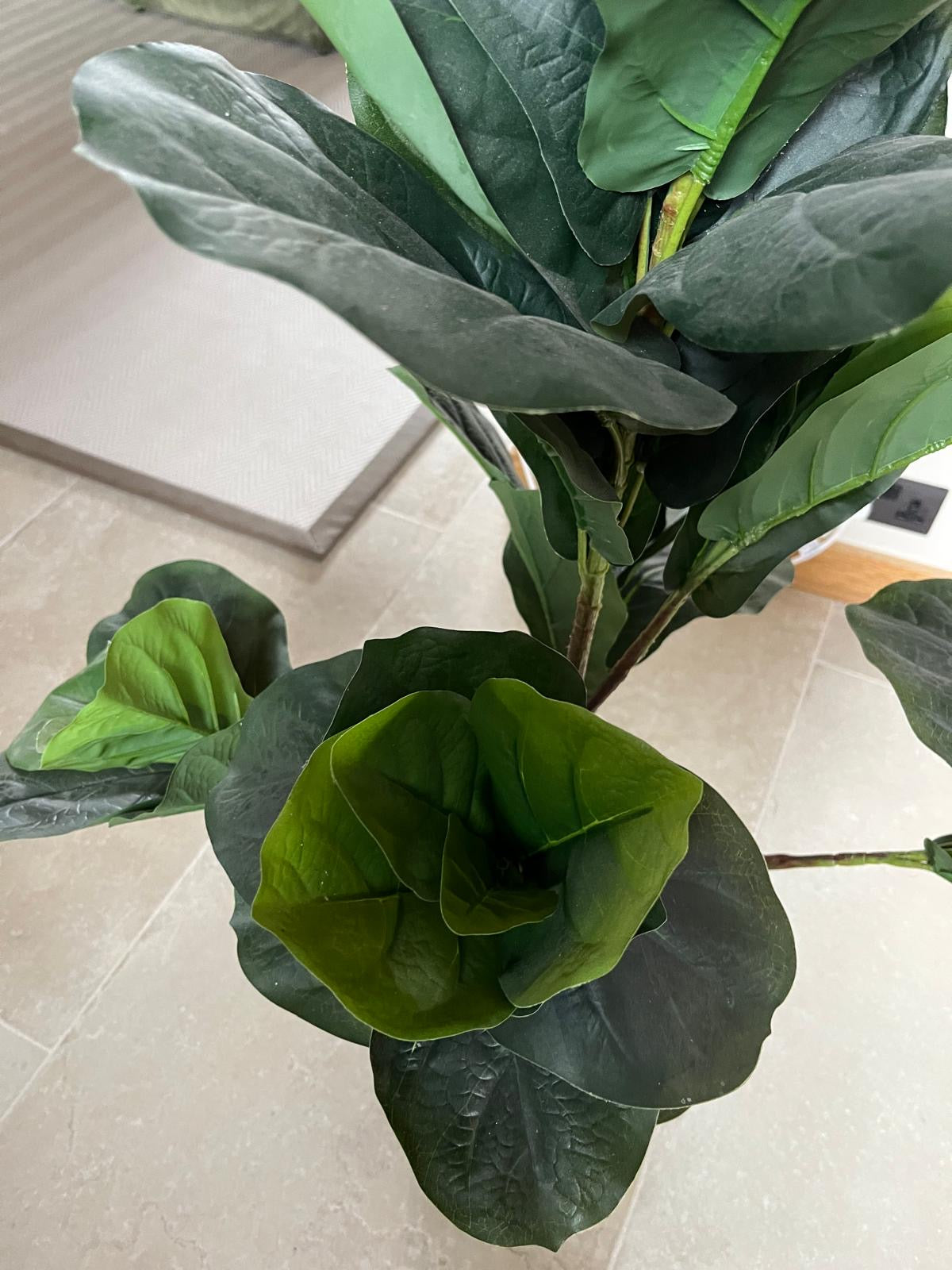 Faux Plant from Chosen by Jessica