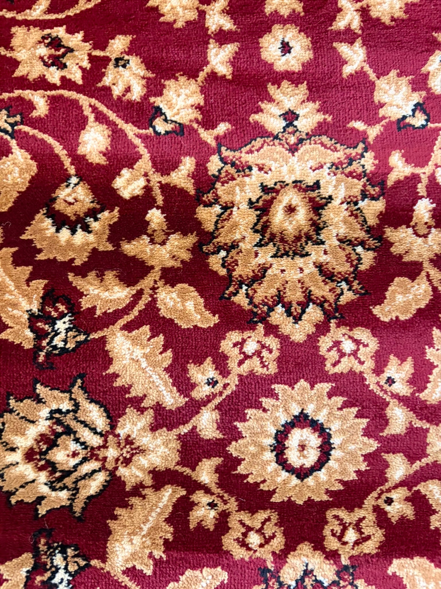 Pasha Red & Ivory Traditional rug