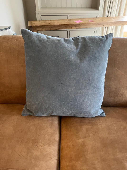 Pair of Blue Velvet Cushions