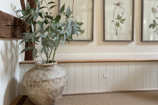 Cowshed Pot In Plant