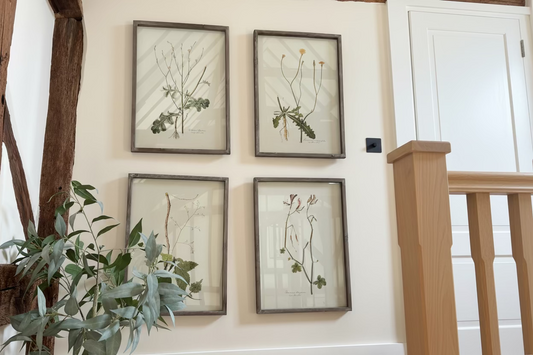 Neptune Botanical Art Prints