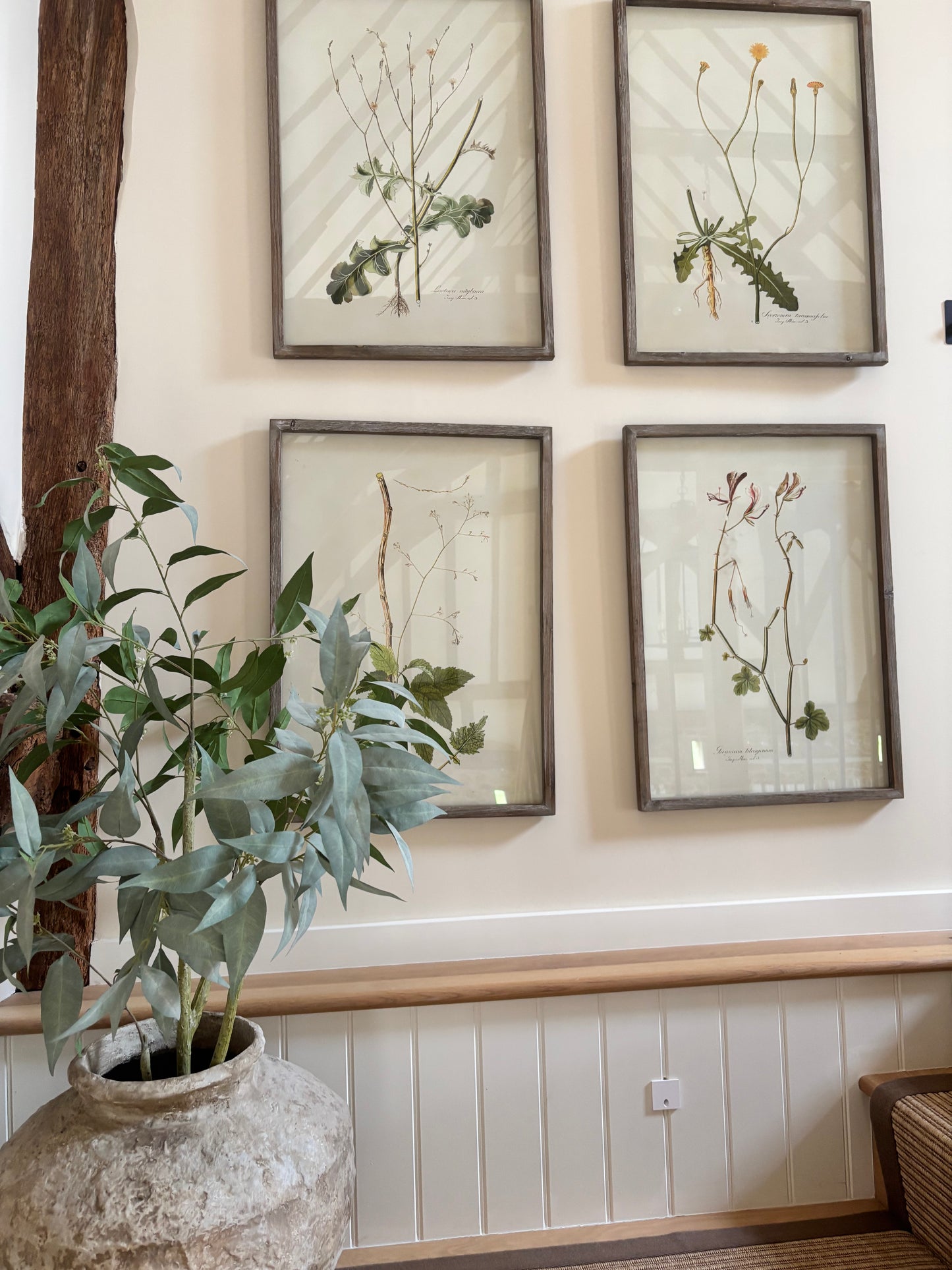 Cowshed Pot In Plant