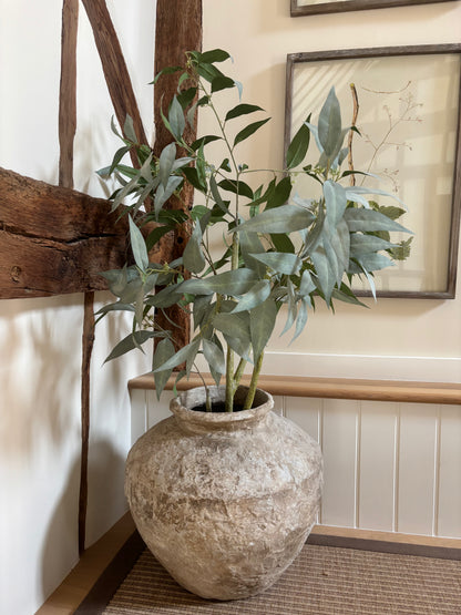 Cowshed Pot In Plant