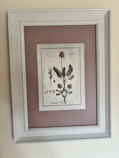 Cowshed Pair of Plant Prints with Pink hue