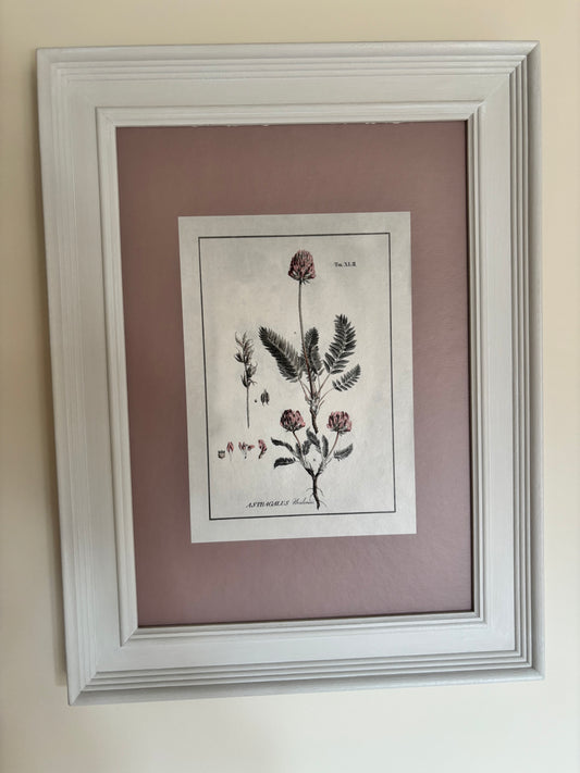 Cowshed Pair of Plant Prints with Pink hue