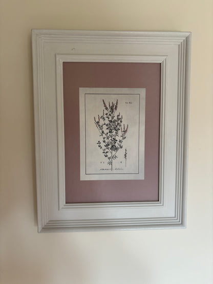 Cowshed Pair of Plant Prints with Pink hue