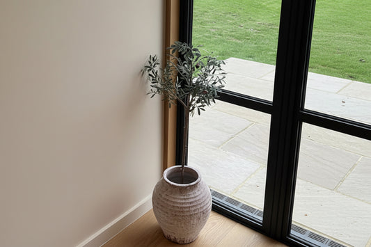 Olive Tree by Coach House