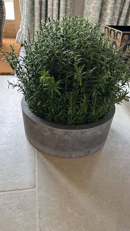 Faux plant in Stone Pot