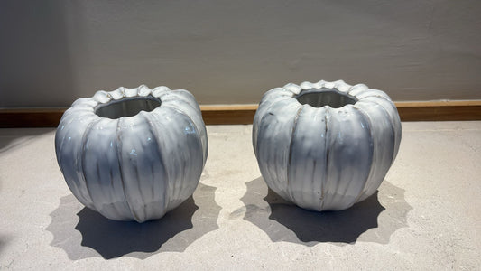 Pair of Decorative Pots