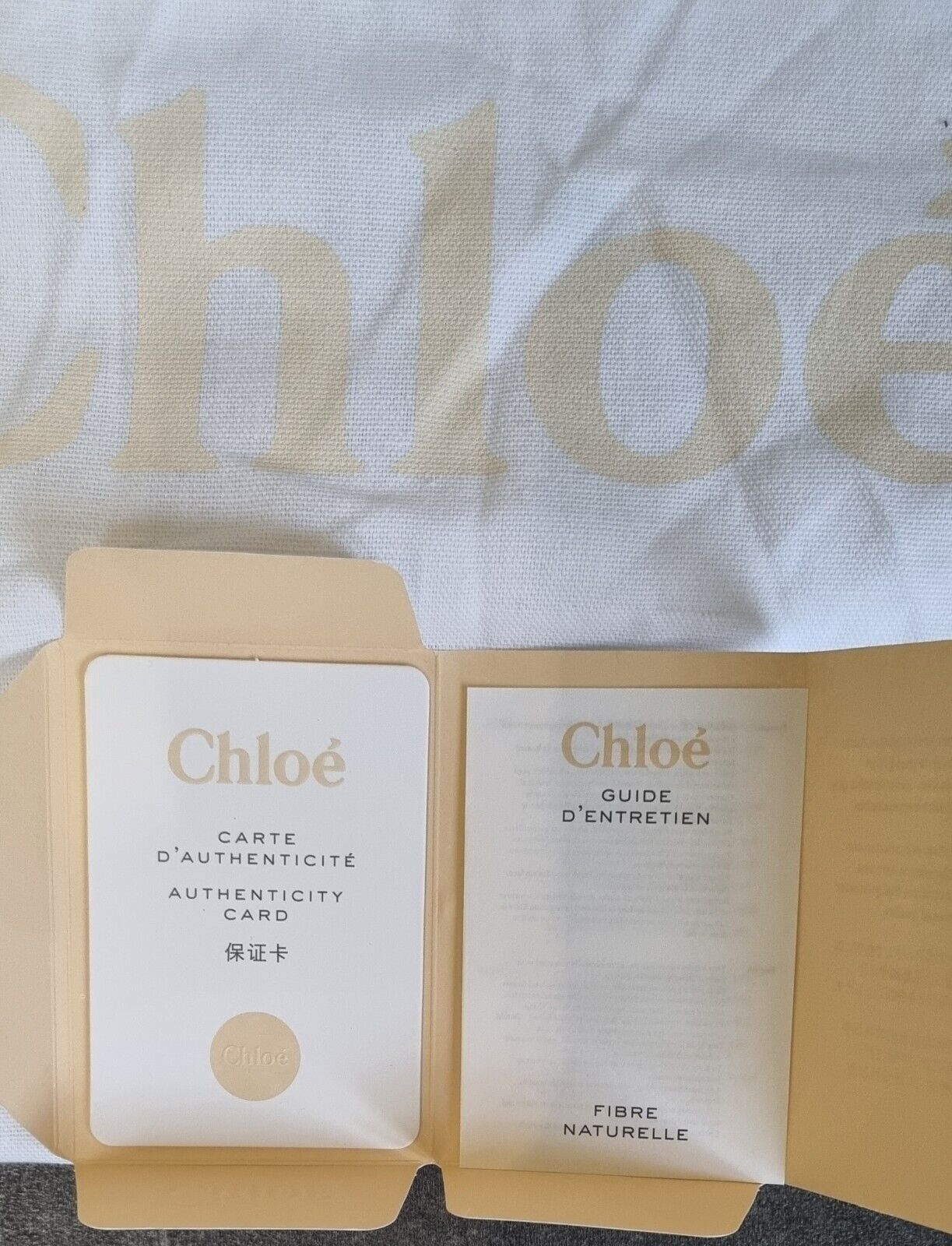 Fabulous Tote Bag By Chloe With Authenticity Card Large Viscose Tote Bag