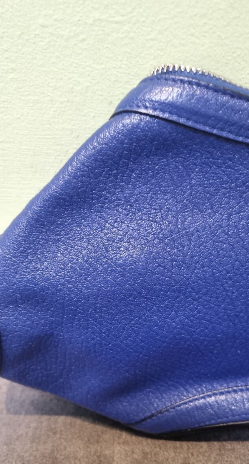Gorgeous Genuine Alexander McQueen Women's Blue Clutch Bag