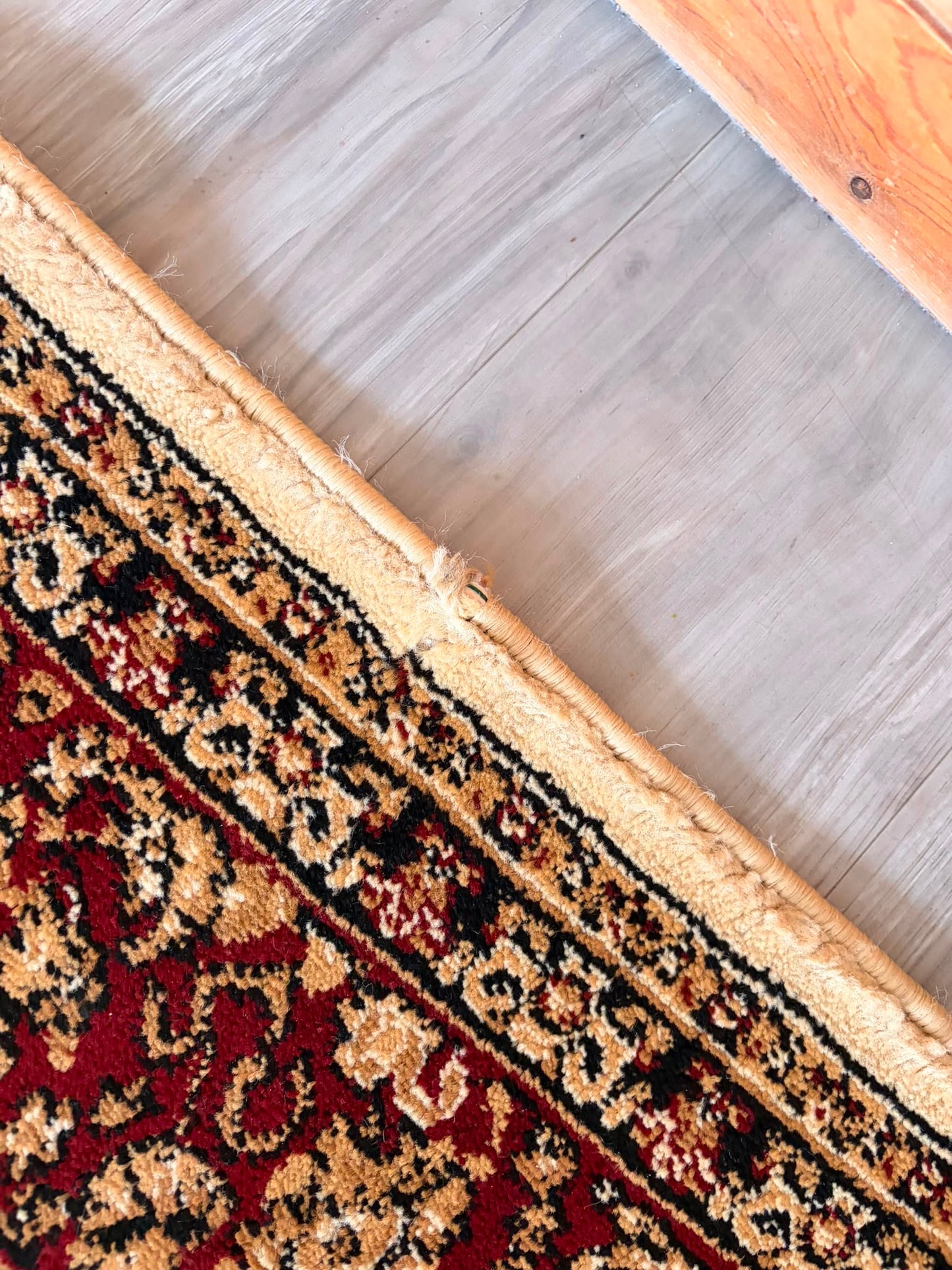 Pasha Ivory Traditional Rug