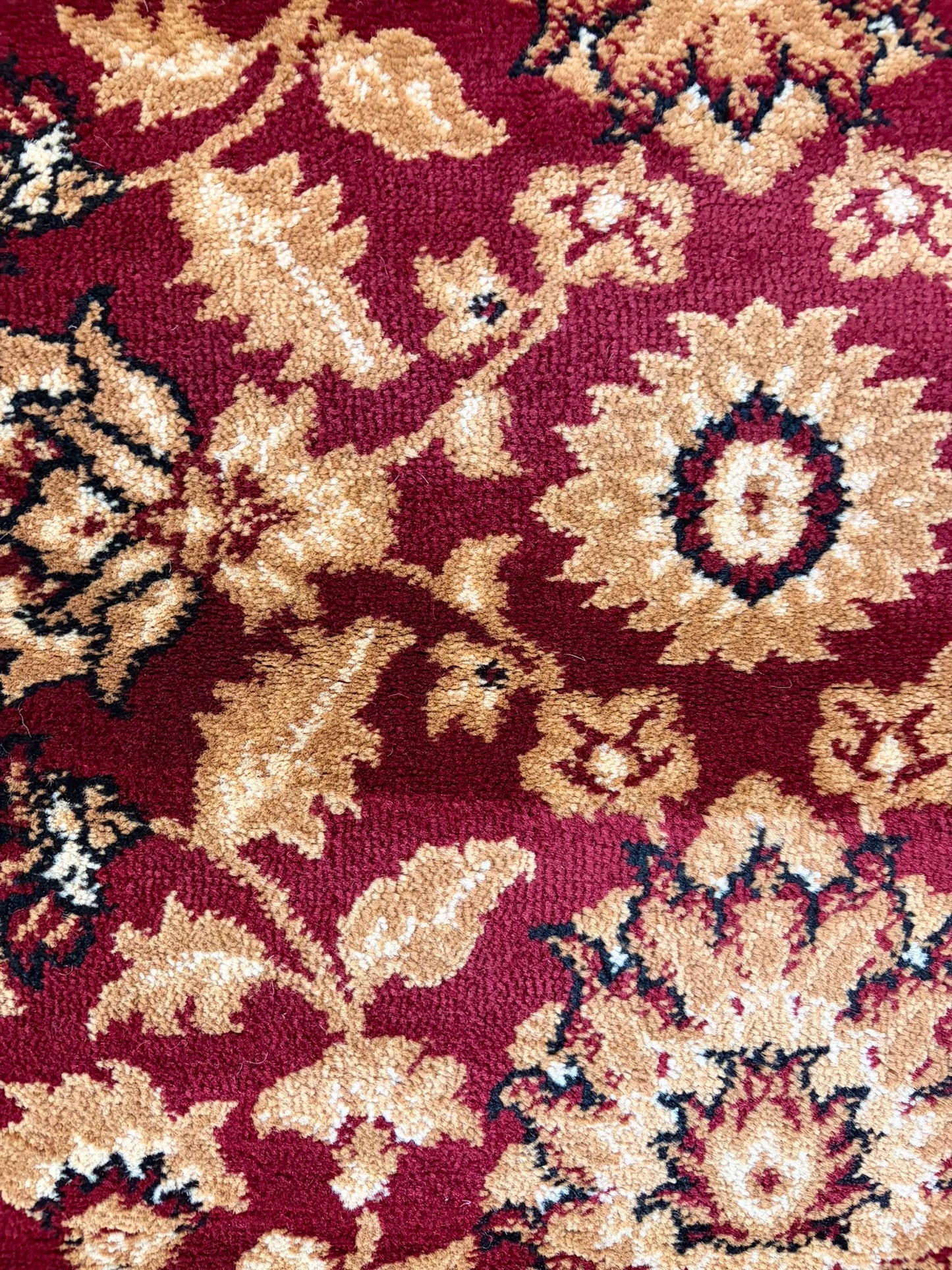 Pasha Red & Ivory Traditional rug
