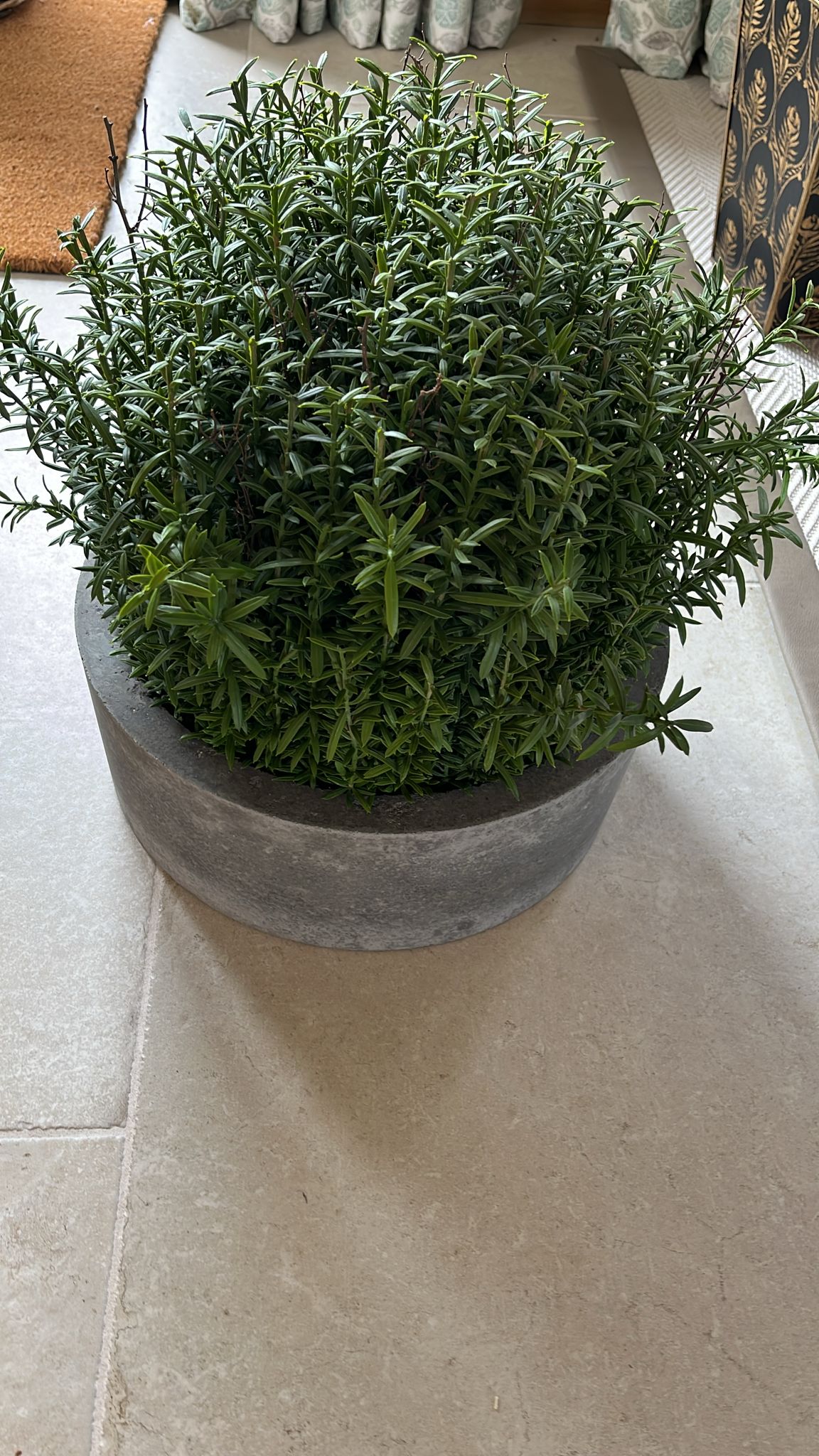 Faux plant in Stone Pot