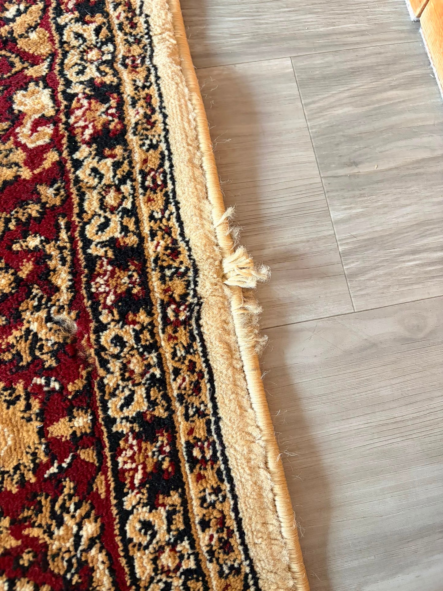 Pasha Ivory Traditional Rug