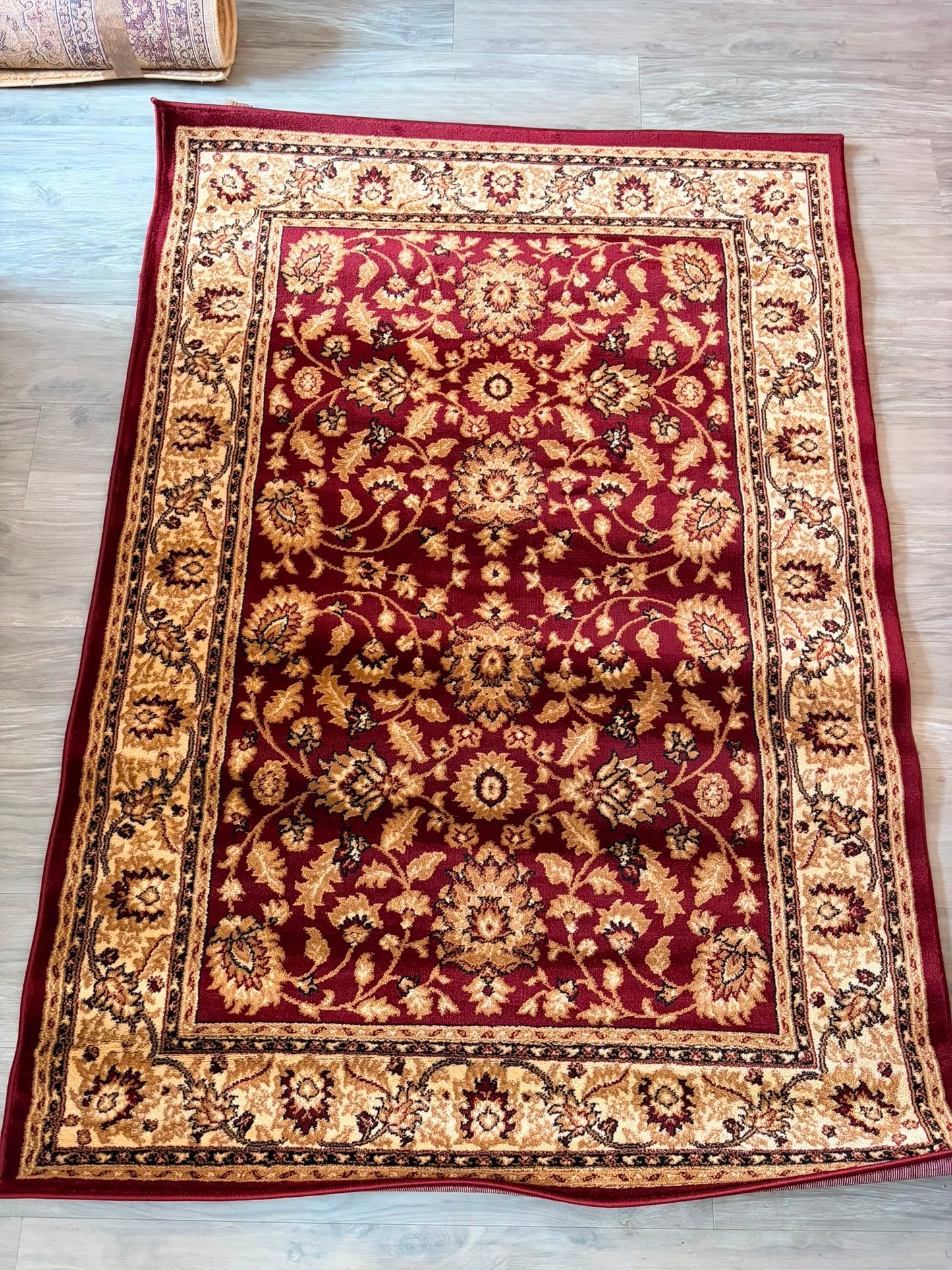 Pasha Red & Ivory Traditional rug