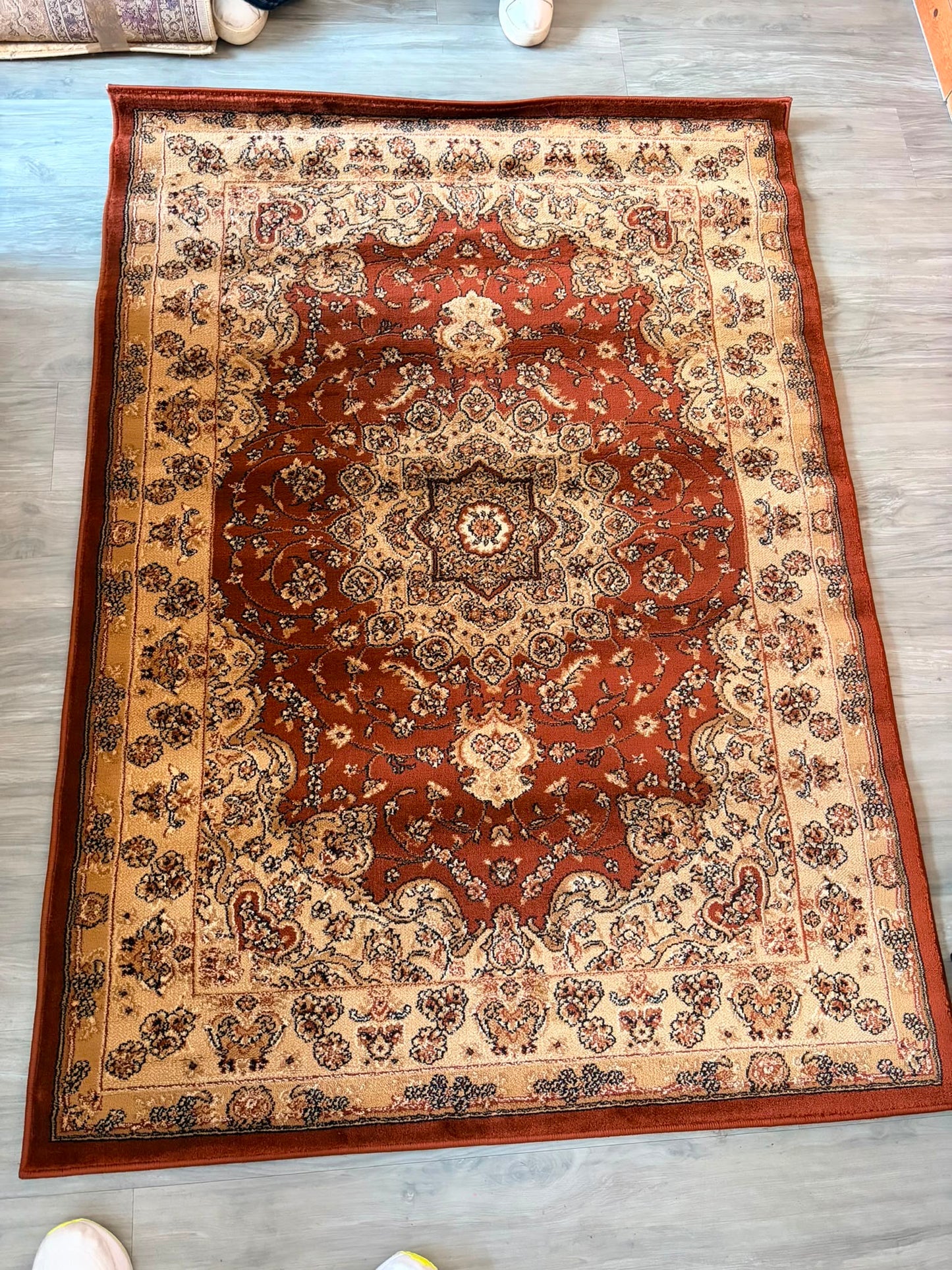 Pasha Traditional Brown Rug