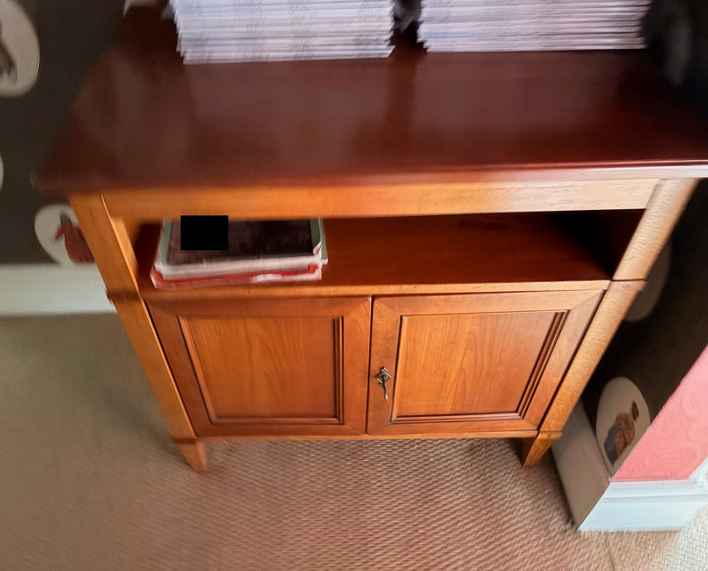 Small Light Wood Cabinet with Panelled Doors