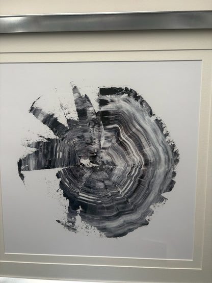 Silver Framed Picture of Oak Trunk