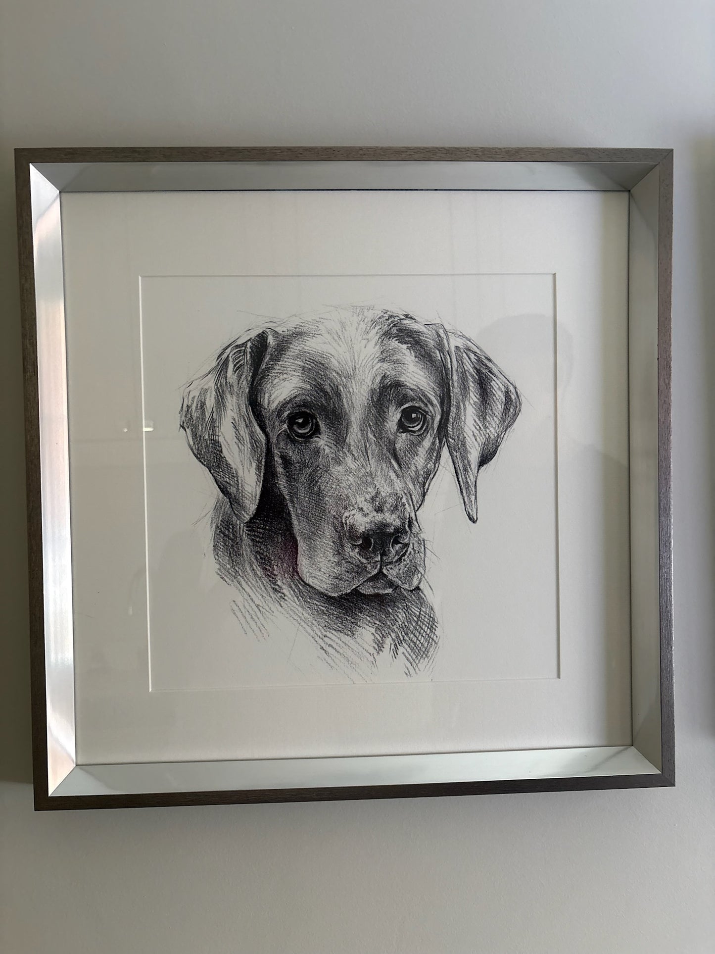 Framed Dog Sketches