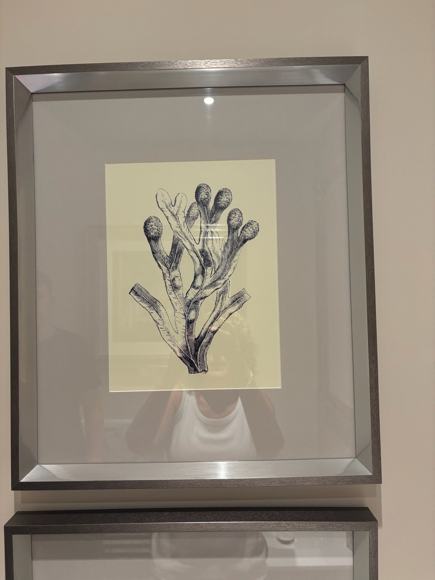 Grey Mounted Pictures