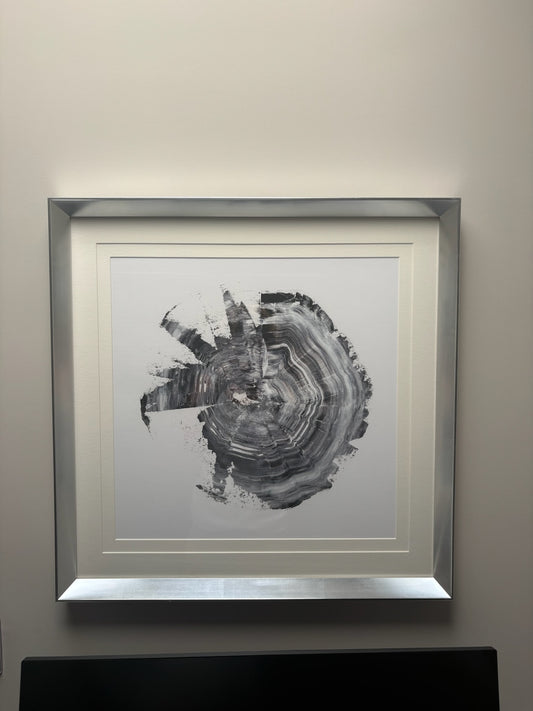 Silver Framed Picture of Oak Trunk