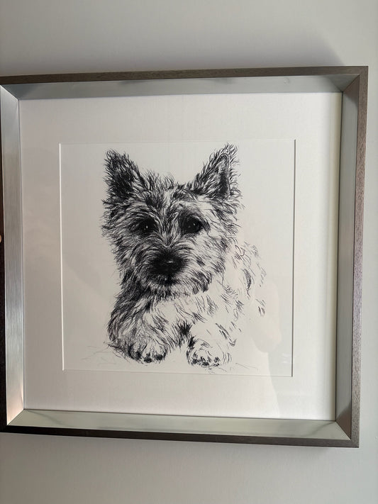 Framed Dog Sketches