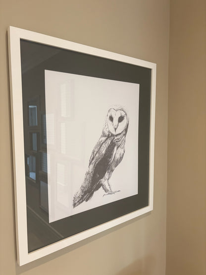 Owl Picture