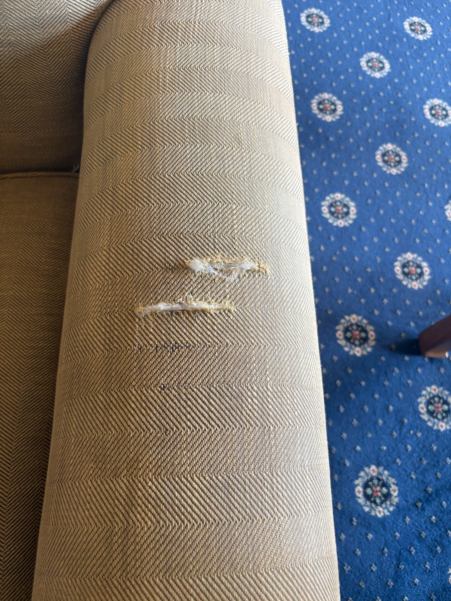Upholstered Armchairs