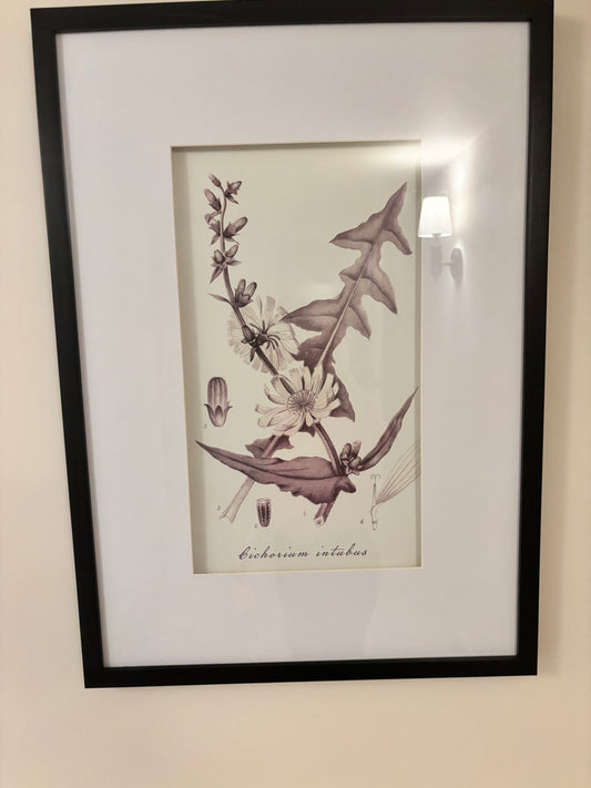 Trio of Floral Pictures with Black Frame