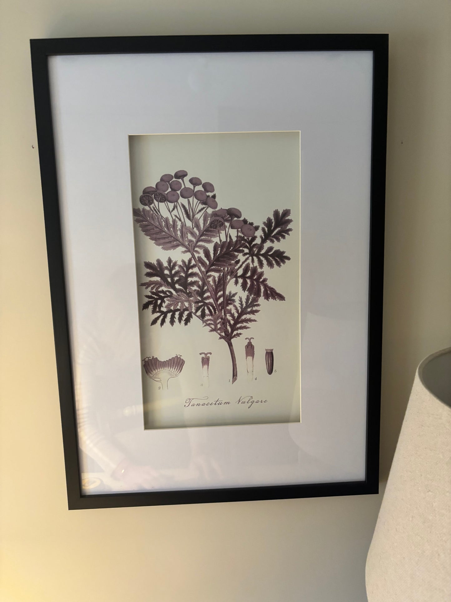Trio of Floral Pictures with Black Frame