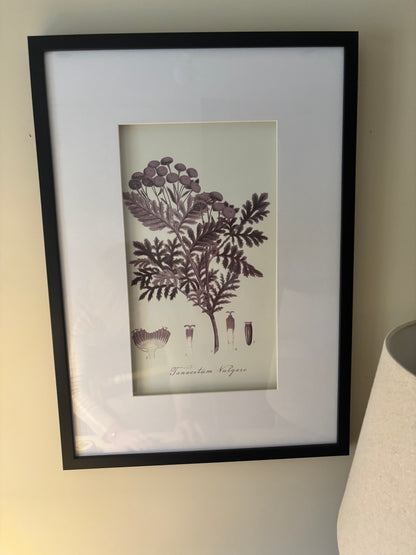 Trio of Floral Pictures with Black Frame