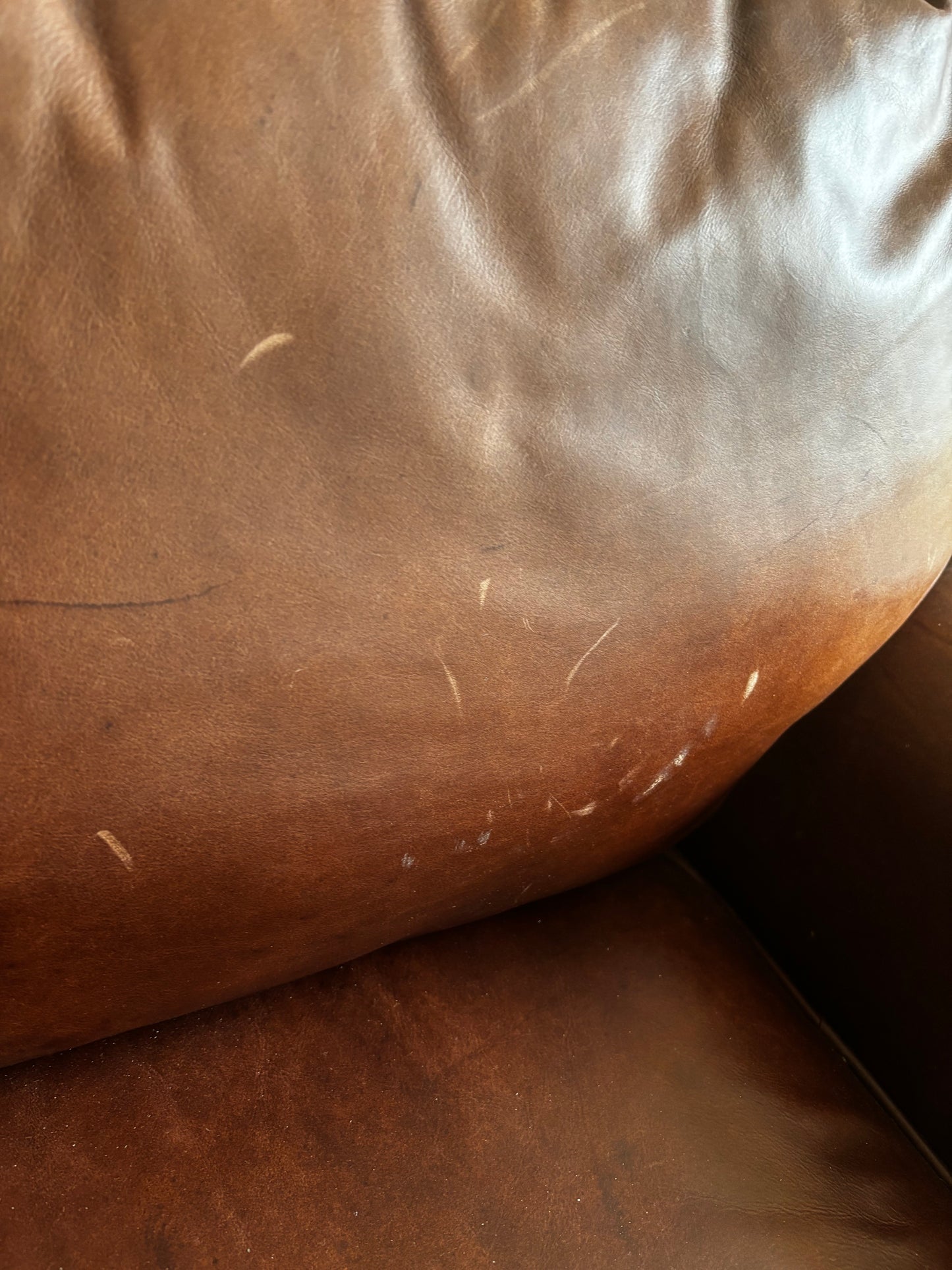Carmen Brown Leather Two Seater Sofa