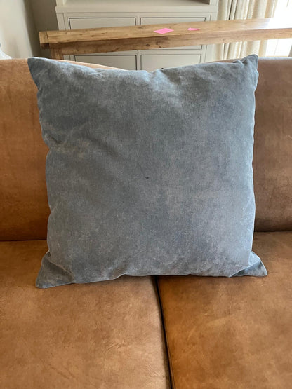 Pair of Blue Velvet Cushions