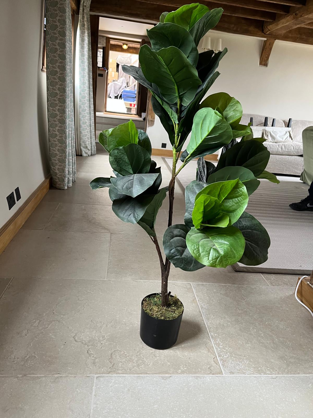 Faux Plant from Chosen by Jessica